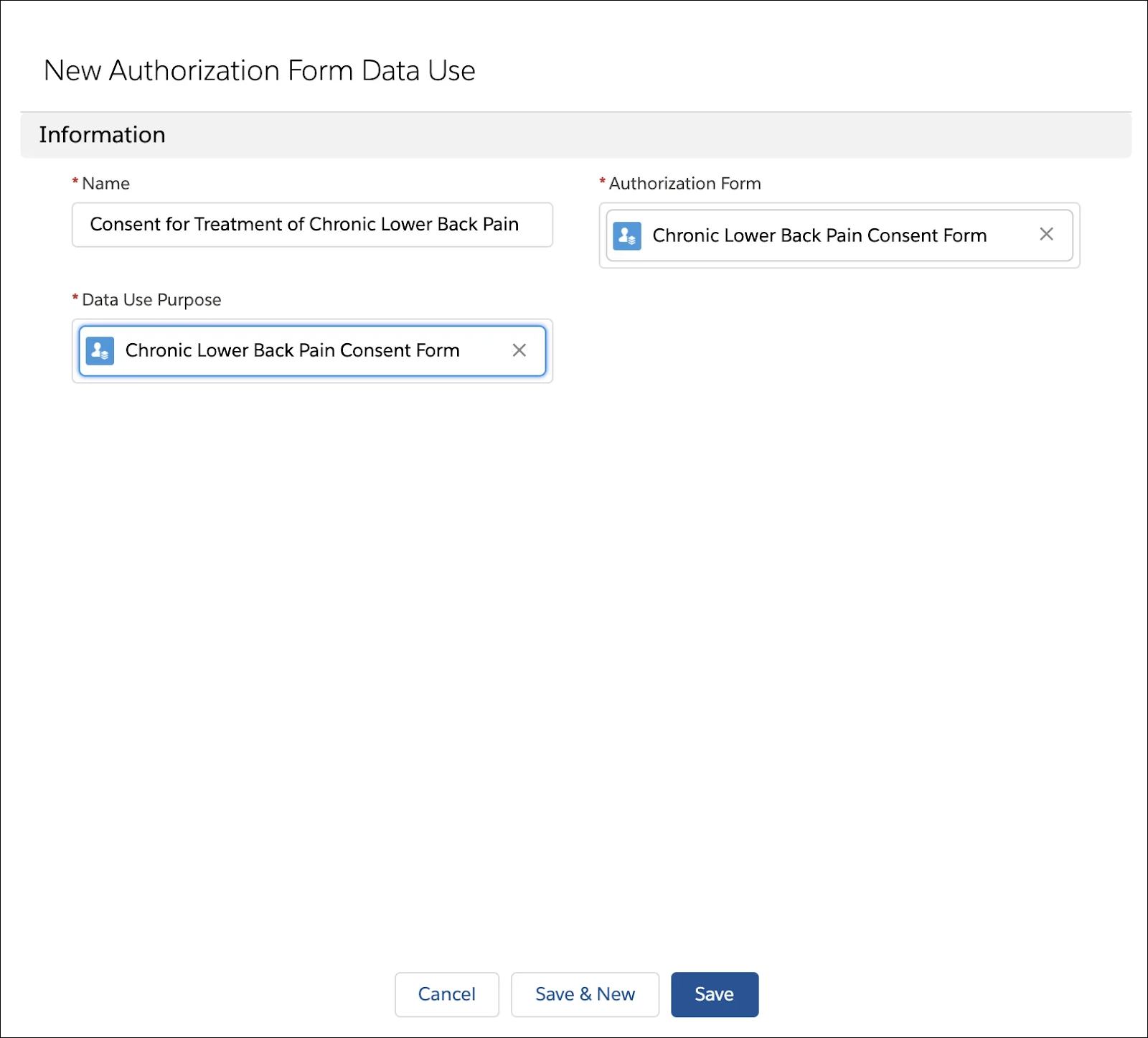 同意フォームをケアプログラムに関連付けるための [New Authorization Form Data Use (新規認証フォームデータ使用)] ページ。