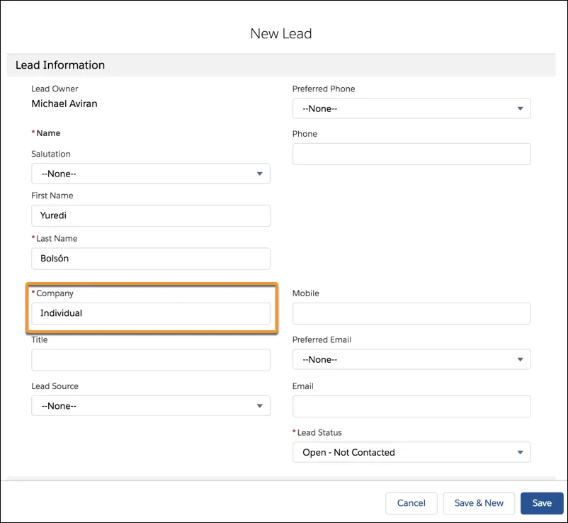 The New Lead form, with ‘Self’ in the Company field.