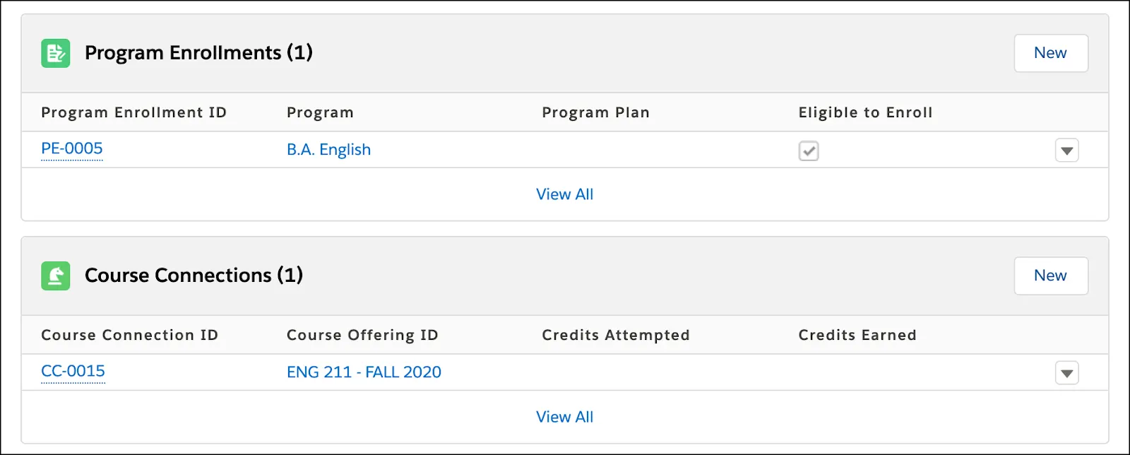 Vanessa Rodriguez’s contact record listing her Relationships, Program Enrollments, and Course Connections.