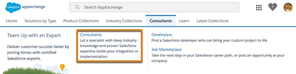 The AppExchange navigation menu with a highlight around the Consultants submenu item