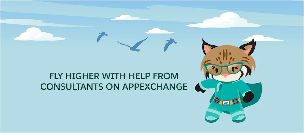 Fly higher with help from consultants on AppExchange