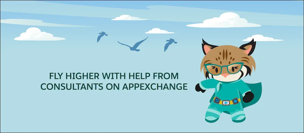 AppExchange のコンサルティングパートナーのサポートでより高く飛ぶ