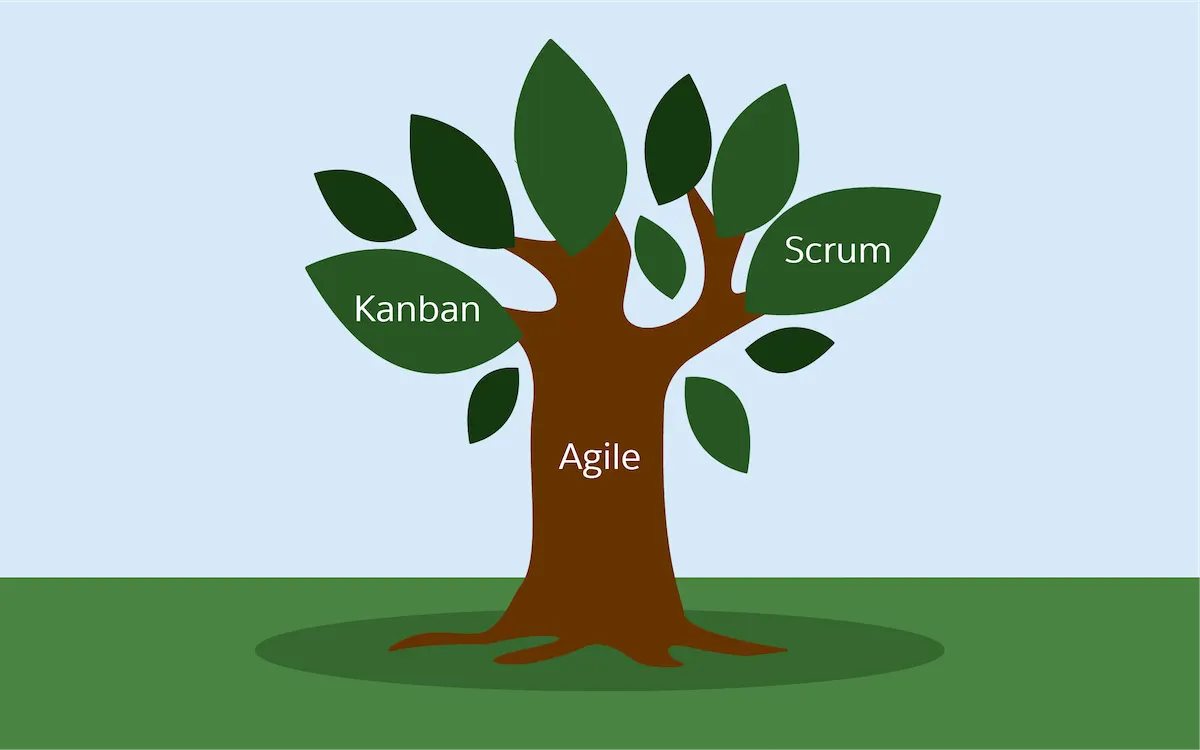 Agile is represented as the trunk of a tree, and kanban and scrum are two of the branches