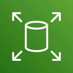 Amazon Elastic Block Store icon depicting a database with arrows pointing outward against a green background