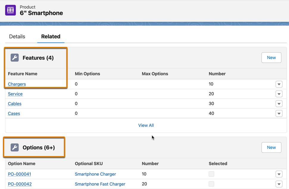 Product record Related tab highlighting Features: Chargers and Options.