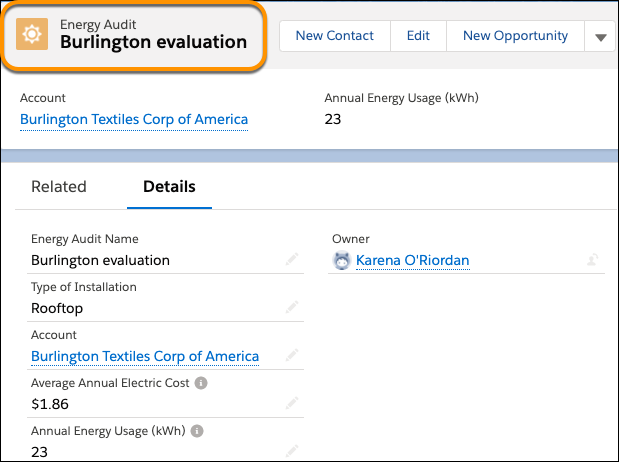 Account details for a sample custom object called Energy Audit, with a business name Burlington evaluation.