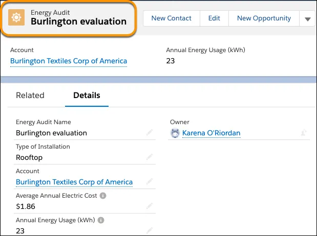 Account details for a sample custom object called Energy Audit, with a business name Burlington evaluation.