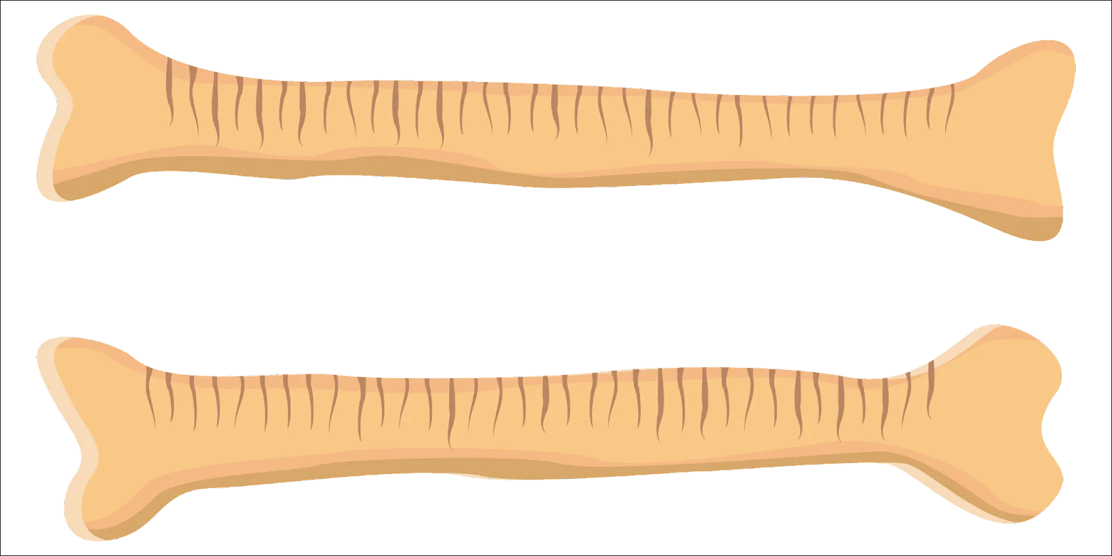 Markings on bones to indicate trading activities.