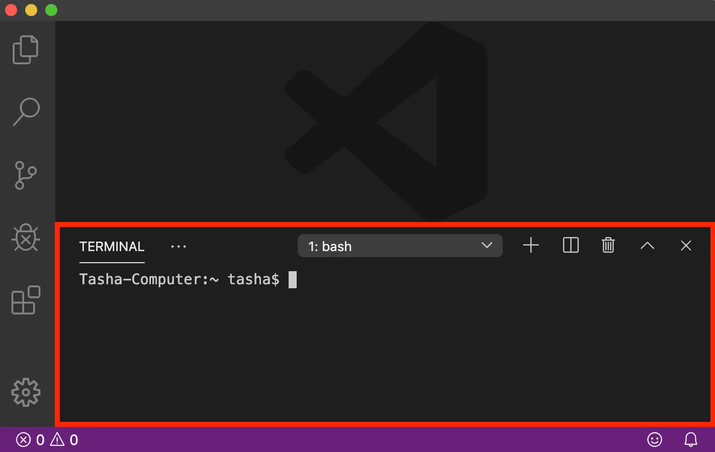 VS Code terminal with command prompt.