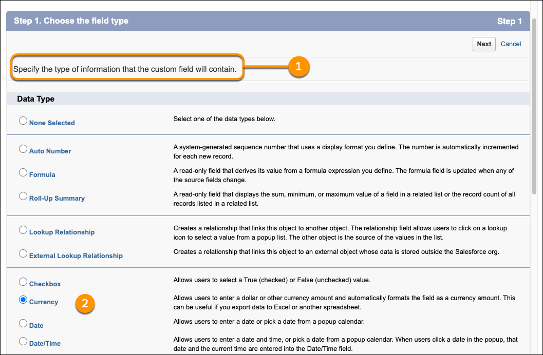 Data types you can choose to determine the format of a custom field.