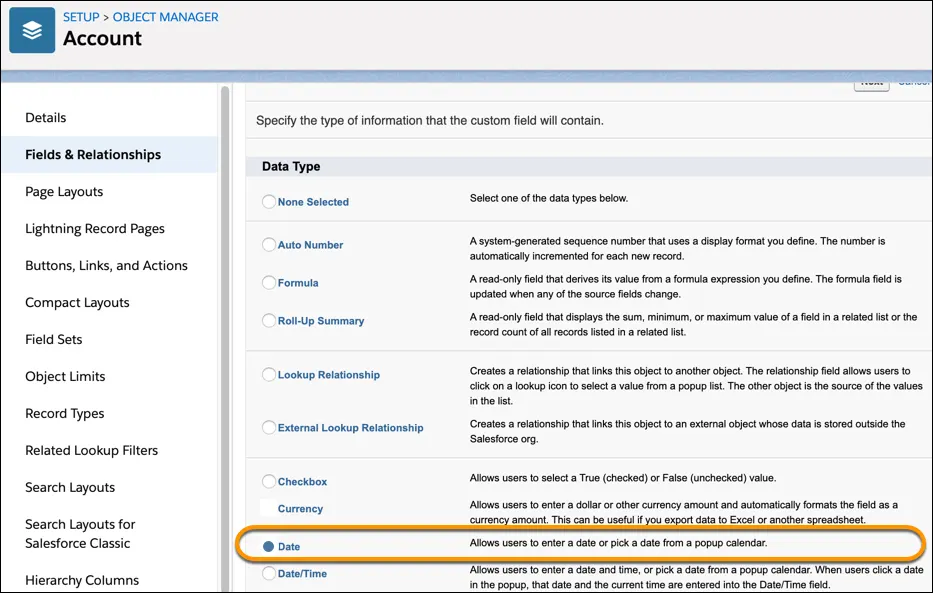 Account detail page showing rules and format for a date custom field.