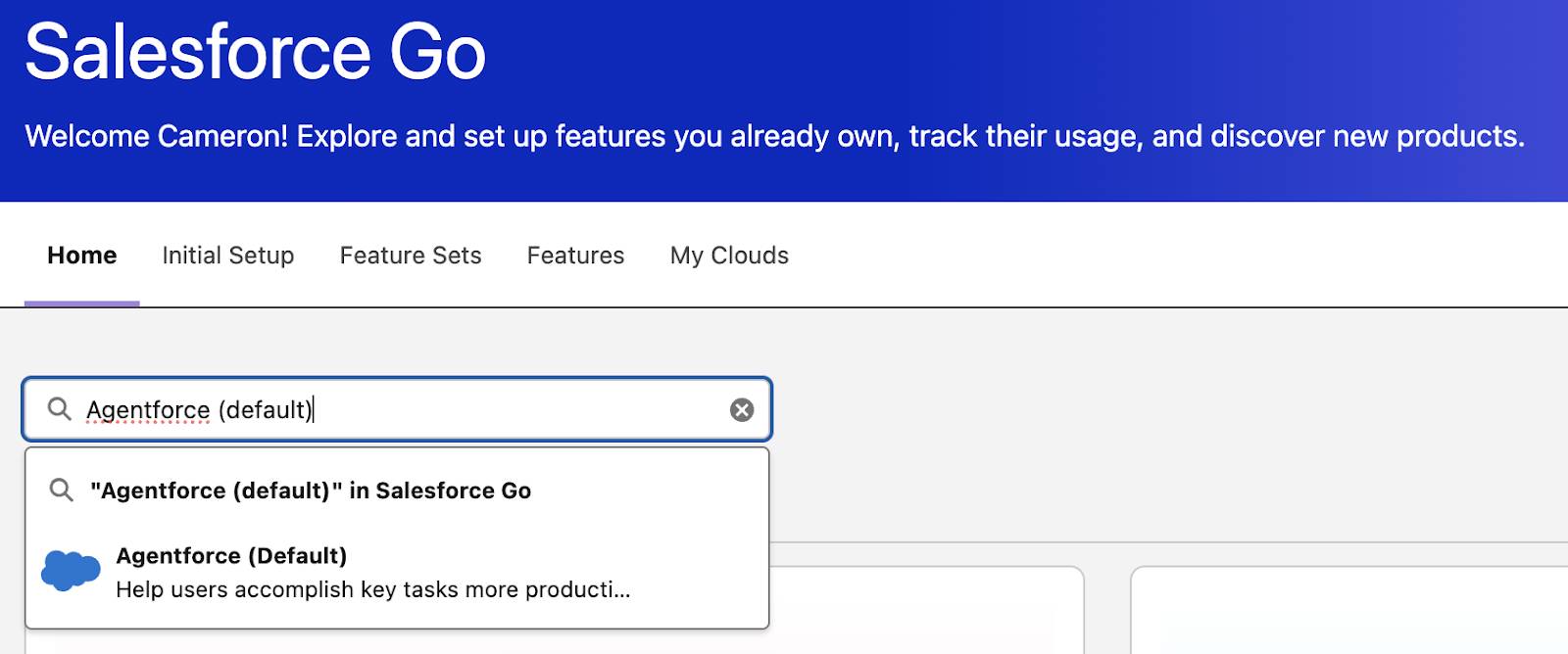 已选择 Agentforce（默认）。