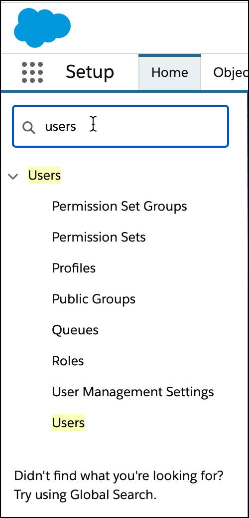 Search for Users under setup.