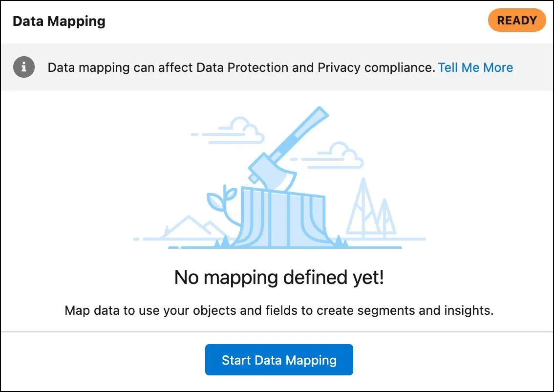 Data Mapping section of unmapped data stream