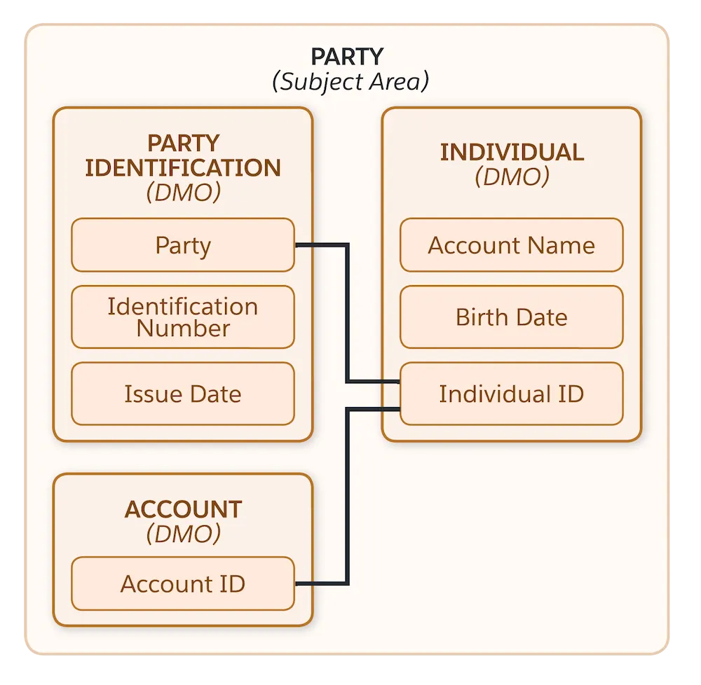 Party identification DMO and account DMO mapping to the individual DMO.