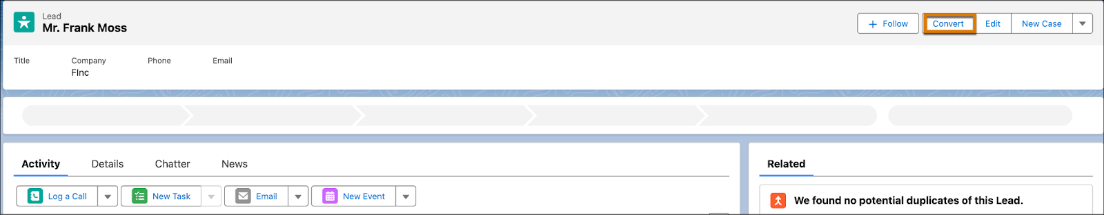 Convert button highlighted on the Lead page.