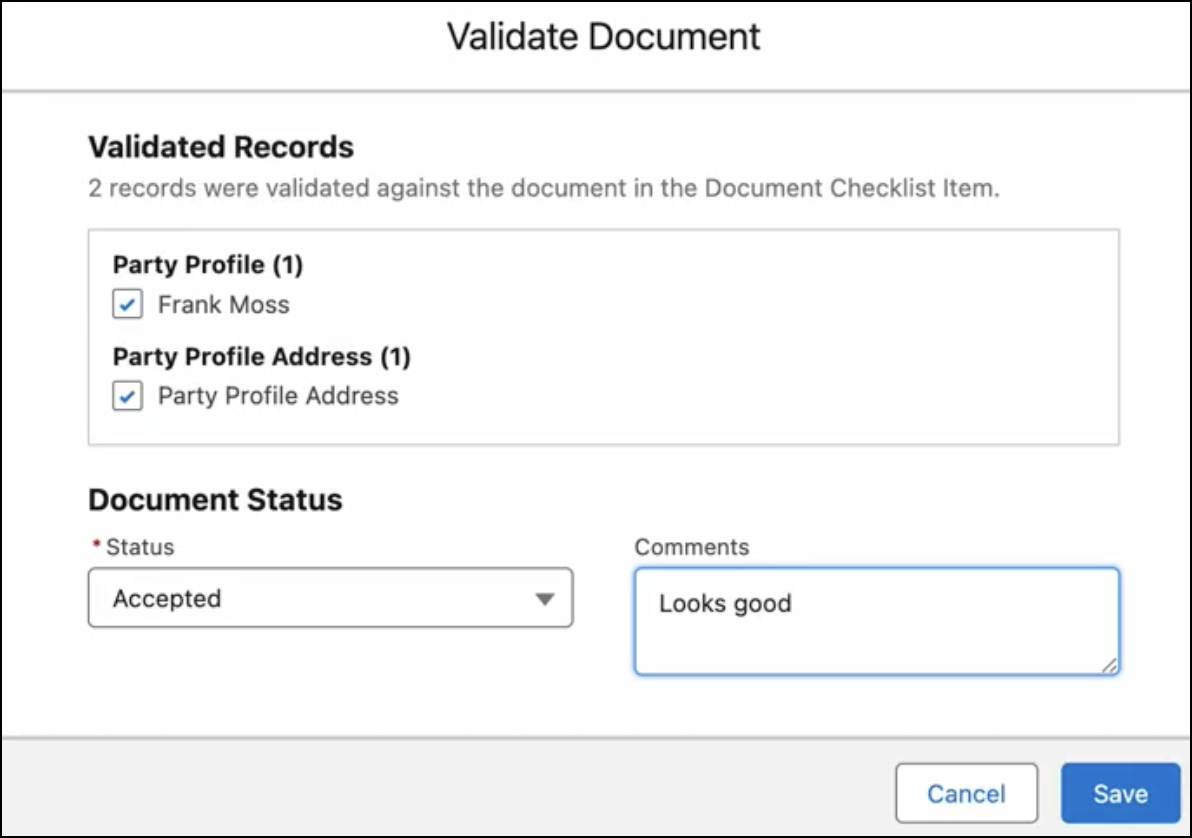 Validate Document window with a summary of object records that were validated with Document Status set to Accepted.