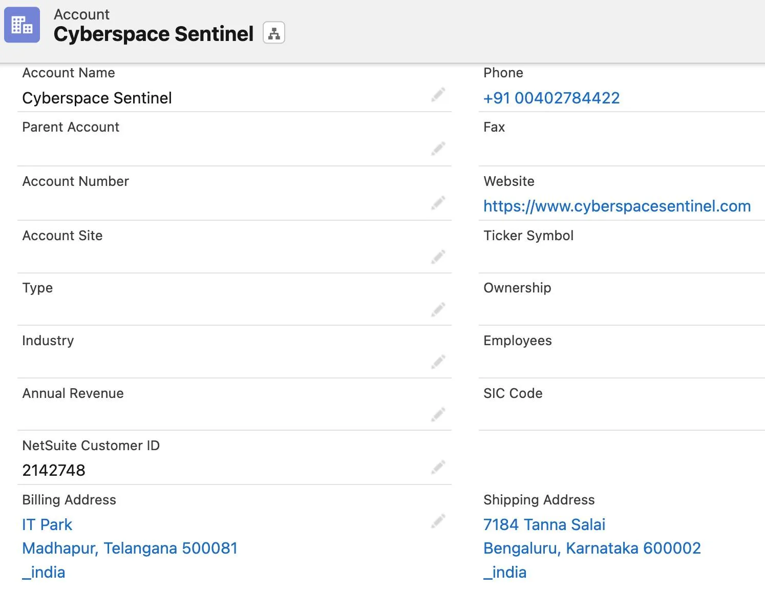 Cyberspace Sentinel account showing the NetSuite customer ID.