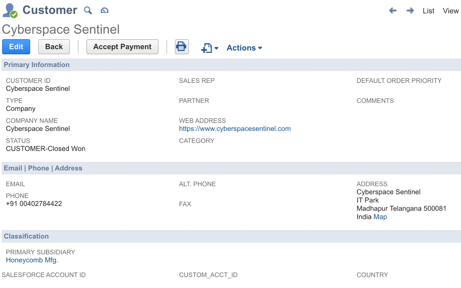 Cyberspace Sentinel customer in NetSuite showing no Salesforce account ID.