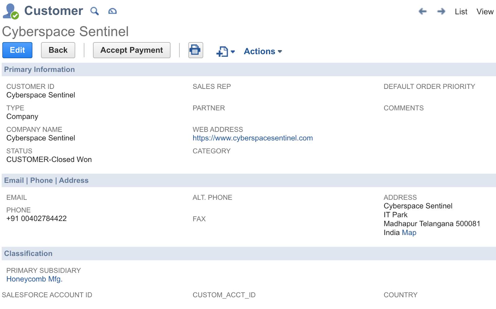 Cyberspace Sentinel customer in NetSuite showing no Salesforce account ID.