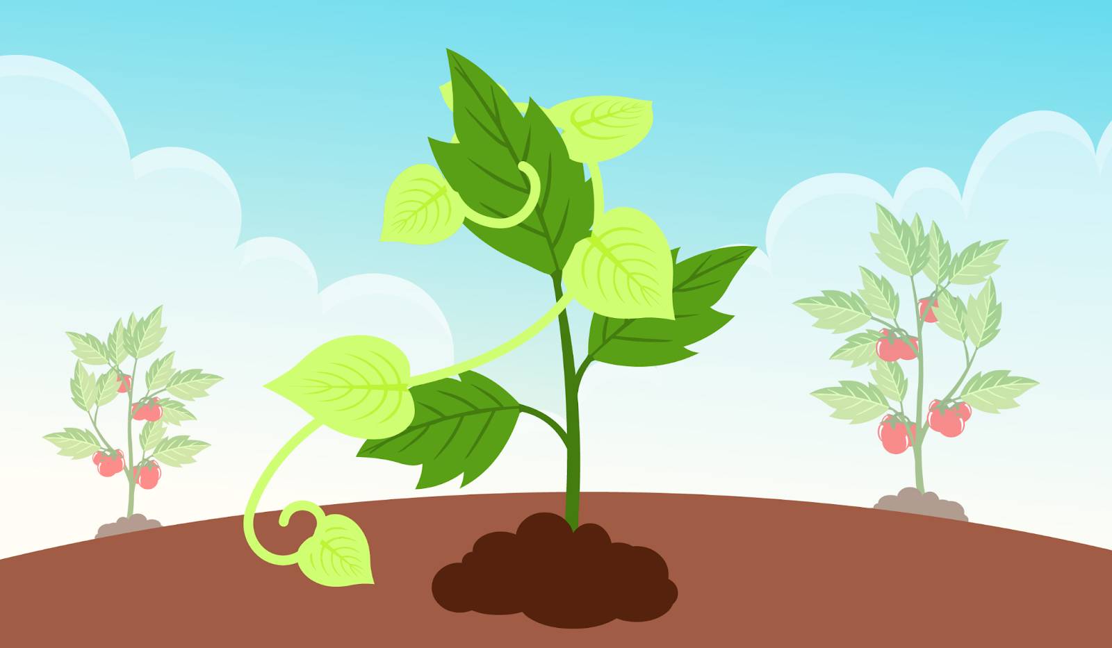 A light-green vine wrapped around a darker green leaf.