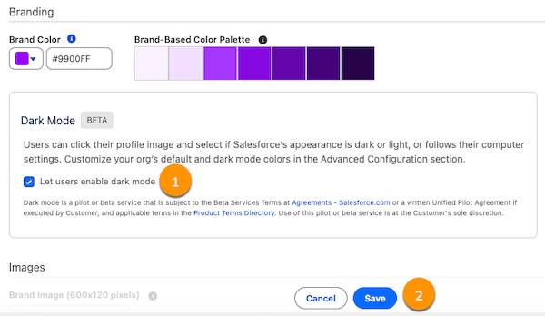An example custom theme window with highlights on Let users enable Dark Mode (1) and Save (2).