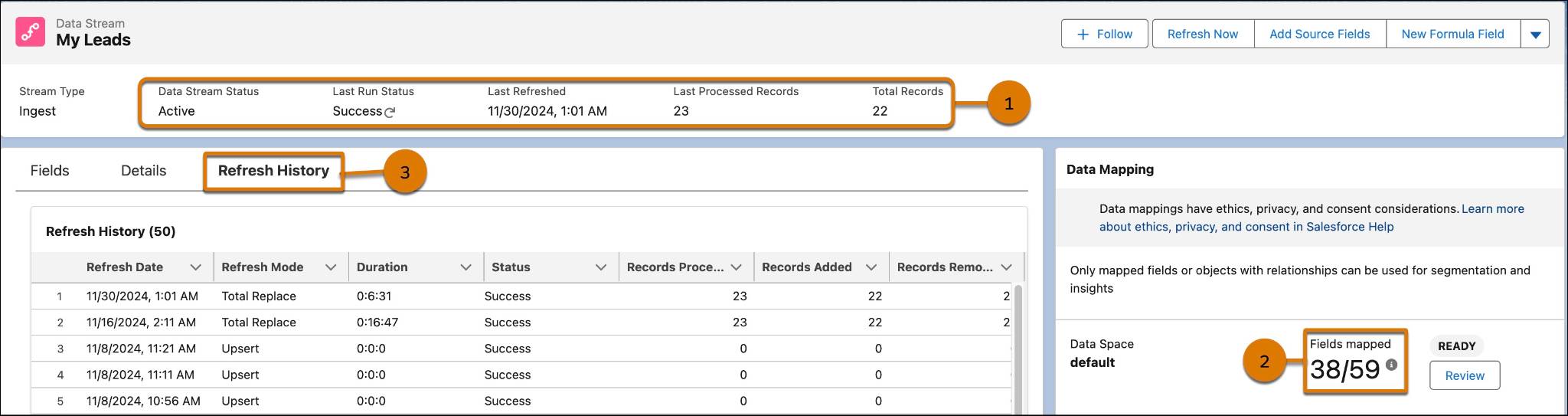 Data stream home page with field information, status details, mappings, and refresh history.