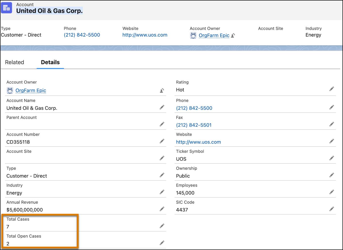 An account with the new Total Cases and Total Open cases fields. This account has 7 total cases and 2 total open cases.