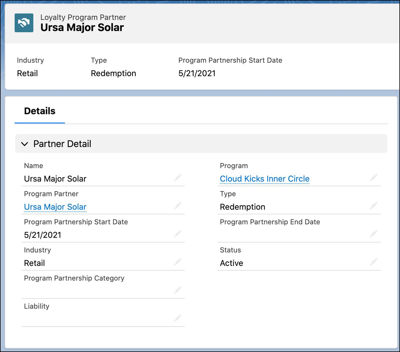 The Loyalty Program Partner record page where you can see details of the partner. The Liability field is present on the record.