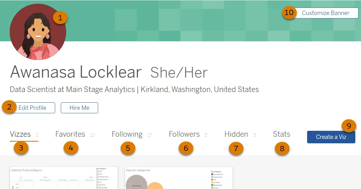 Tableau Public profile page highlighting key areas.