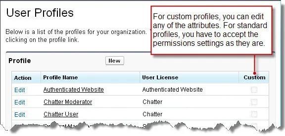 Una lista de los perfiles de usuario que nota: Para los perfiles personalizados, puede modificar cualquiera de los atributos. Para los perfiles estándar, debe aceptar los permisos establecidos tal y como están.