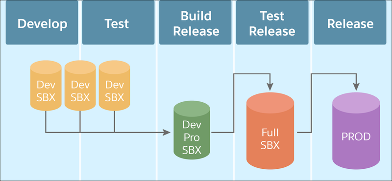 The steps in the application lifecycle: develop and test with deverloper sandboxes; build release with a developer pro sandbox; test release with a full sandbox; and release to production