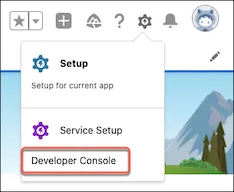 Access the Developer Console, Lightning Experience