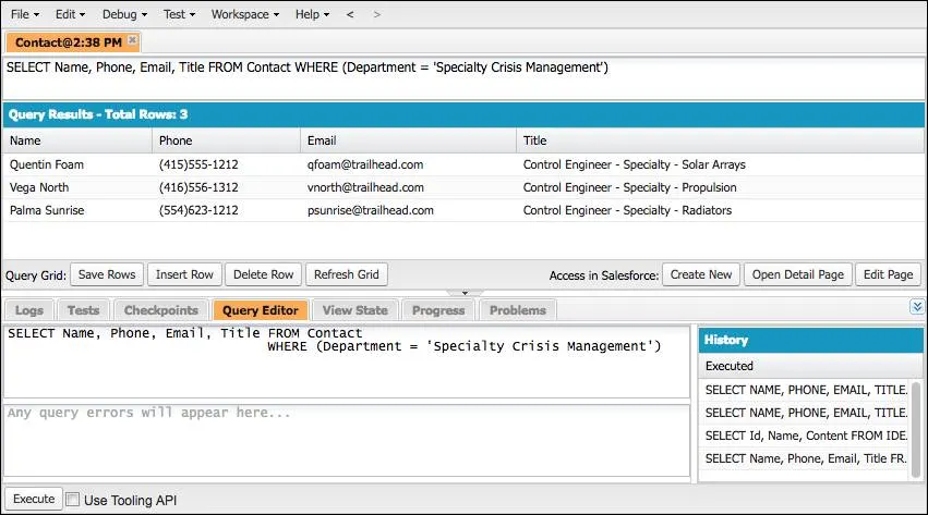 SOQL クエリの結果