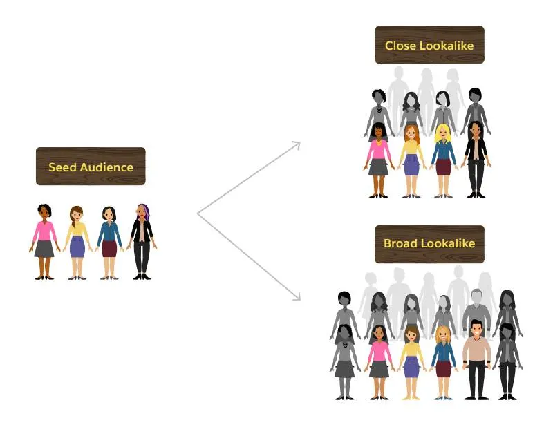 Une audience initiale permet de créer deux audiences similaires distinctes : une restreinte et une étendue.