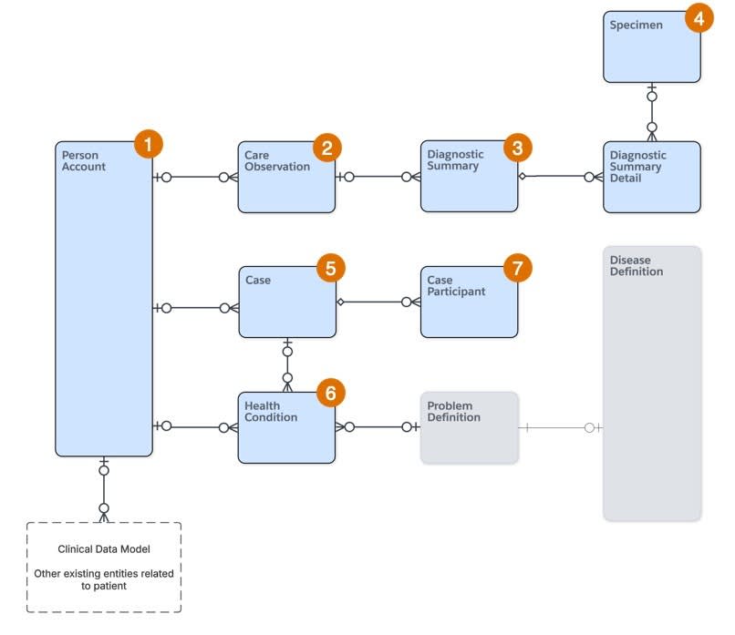 Diagram of disease case objects and their relationships.