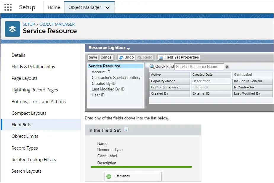 Object Manager showing the Efficiency field being dragged into the Resource Lightbox field set.