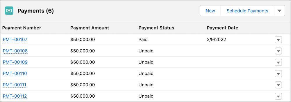 The Payments related list with columns for Payment Number, Payment Amount, Payment Status, and Payment Date for all six payments