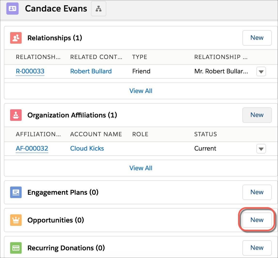 Related Objects associated with an Account, highlighting the New Opportunities option