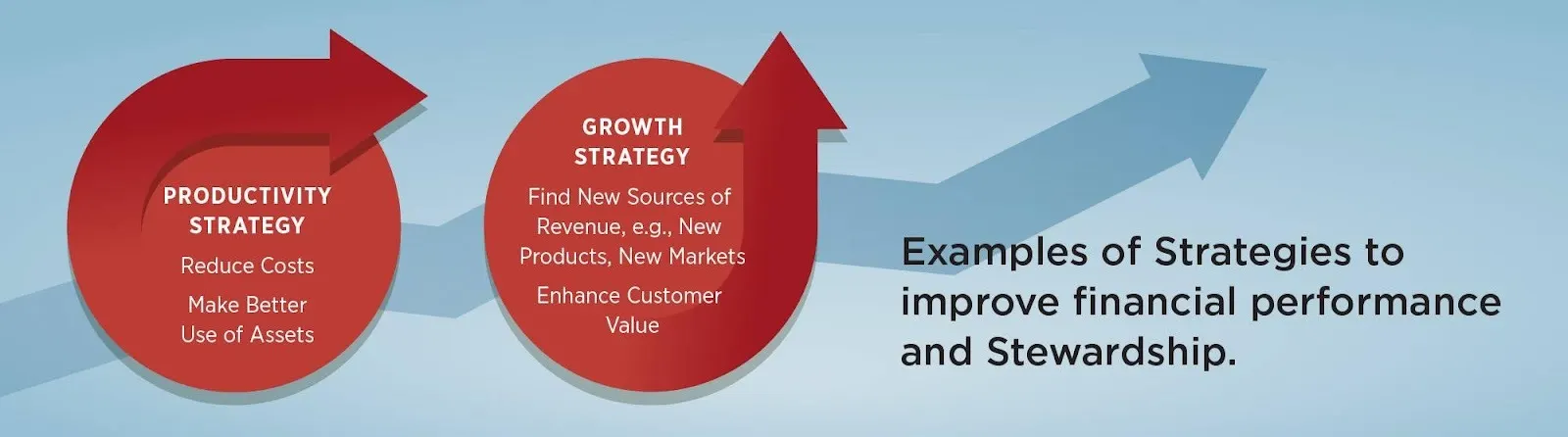 Examples of Strateies to improve financial peformance and Stewardship