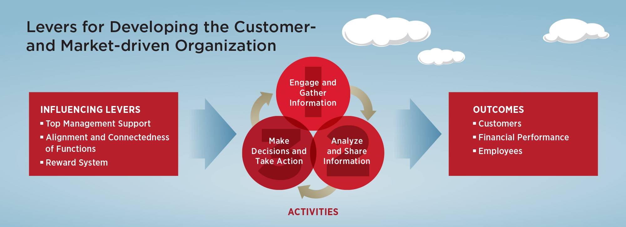 Levers for developing the customer- and market-driven organization