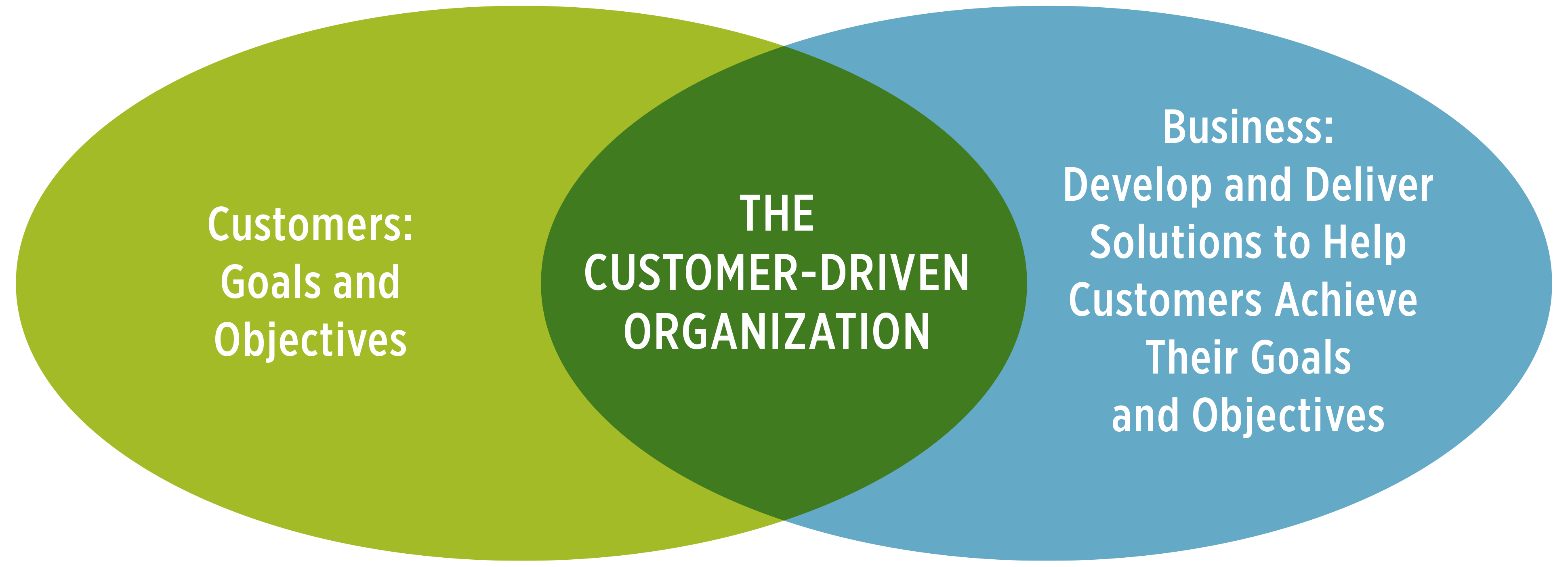 Venn diagram: customers - the customer-drive organization - business