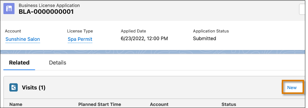 New button on the Visits related list for a Business License Application.