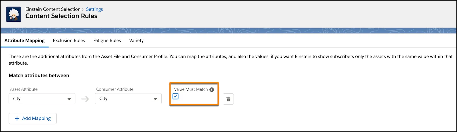 City asset attributes mapped to the city consumer attribute with the value must match checkbox selected.