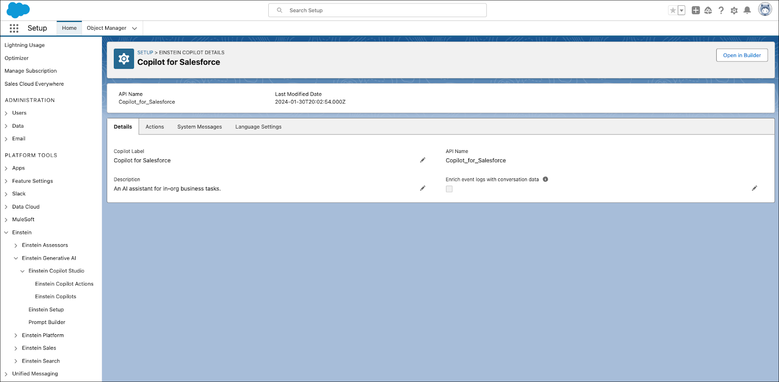 The Copilot detail page in Salesforce Setup.