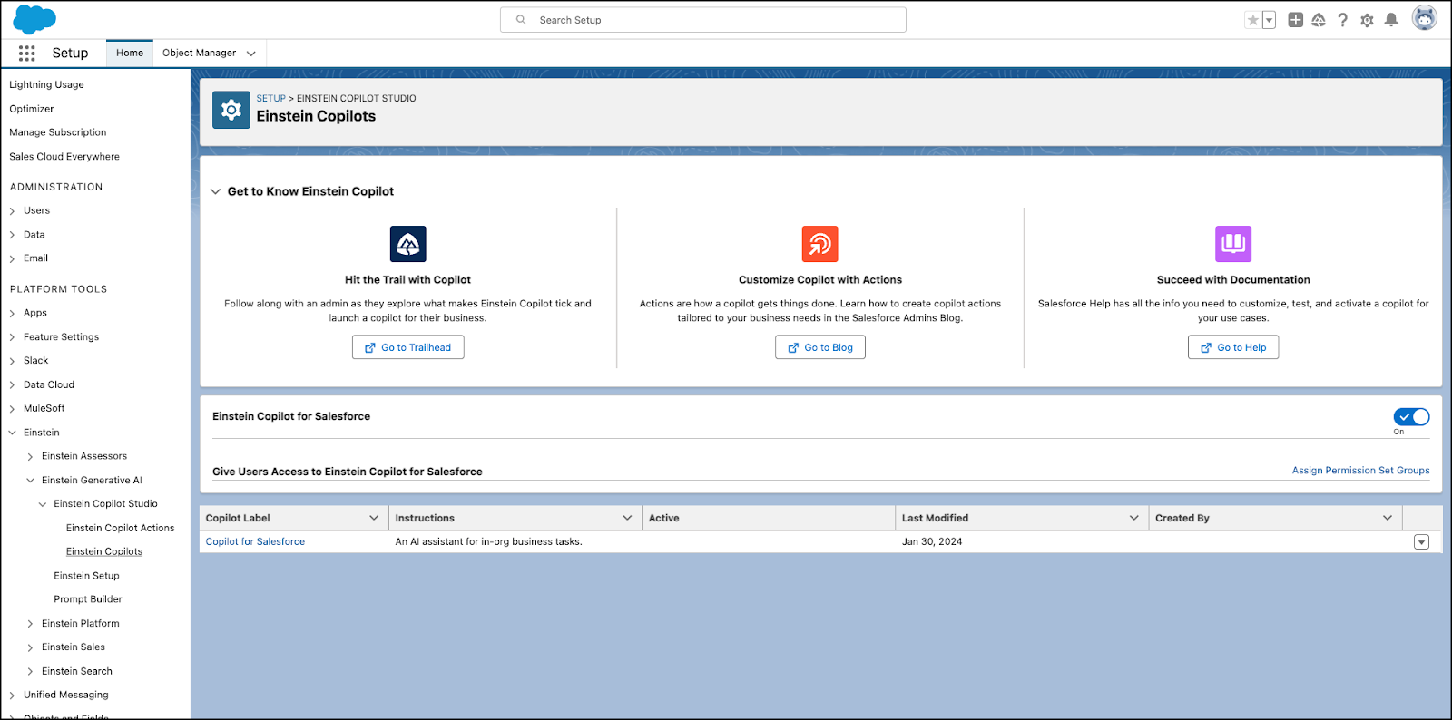 The Einstein Copilots page in Salesforce Setup that shows the new copilot.