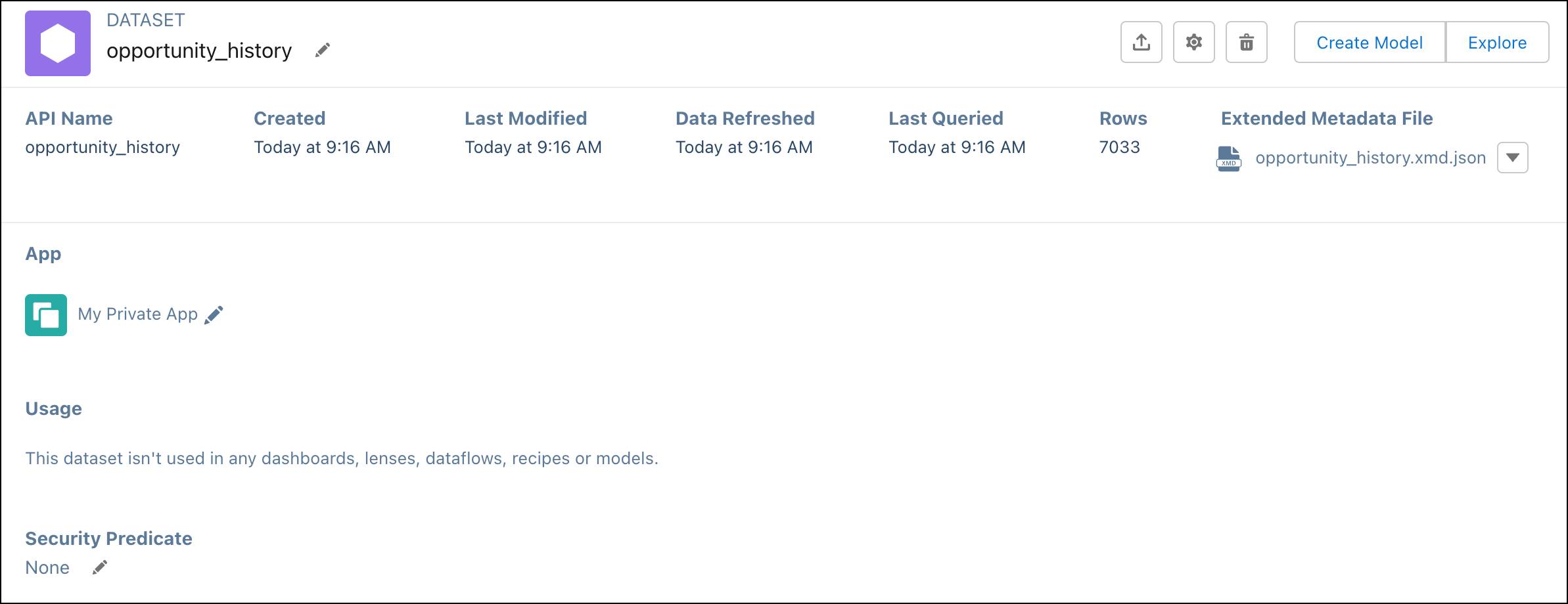 Summary screen of new opportunity_history dataset created from uploaded CSV file