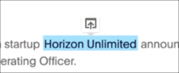 Einstein Relationship Insights browser extension showing Horizon Unlimited highlighted in blue.