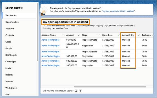 Natural language search in Einstein Search