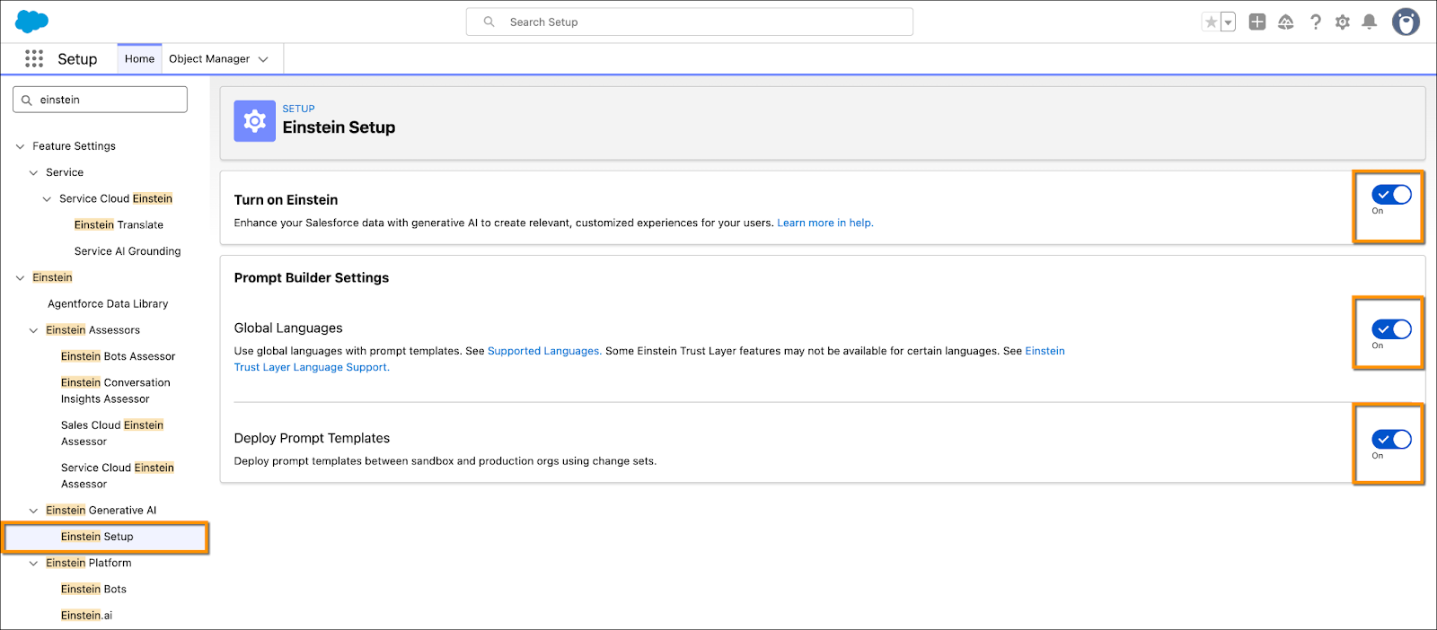 Einstein Setup screen in Salesforce showing options to enable Einstein and Prompt Builder settings.